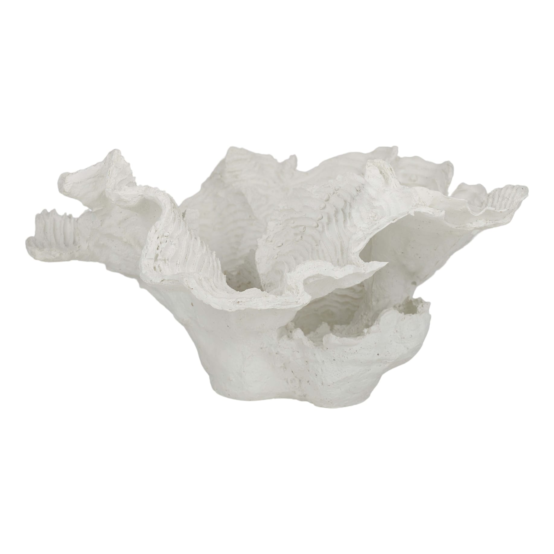 Foliose Coral Sculpture 30x15cm in White