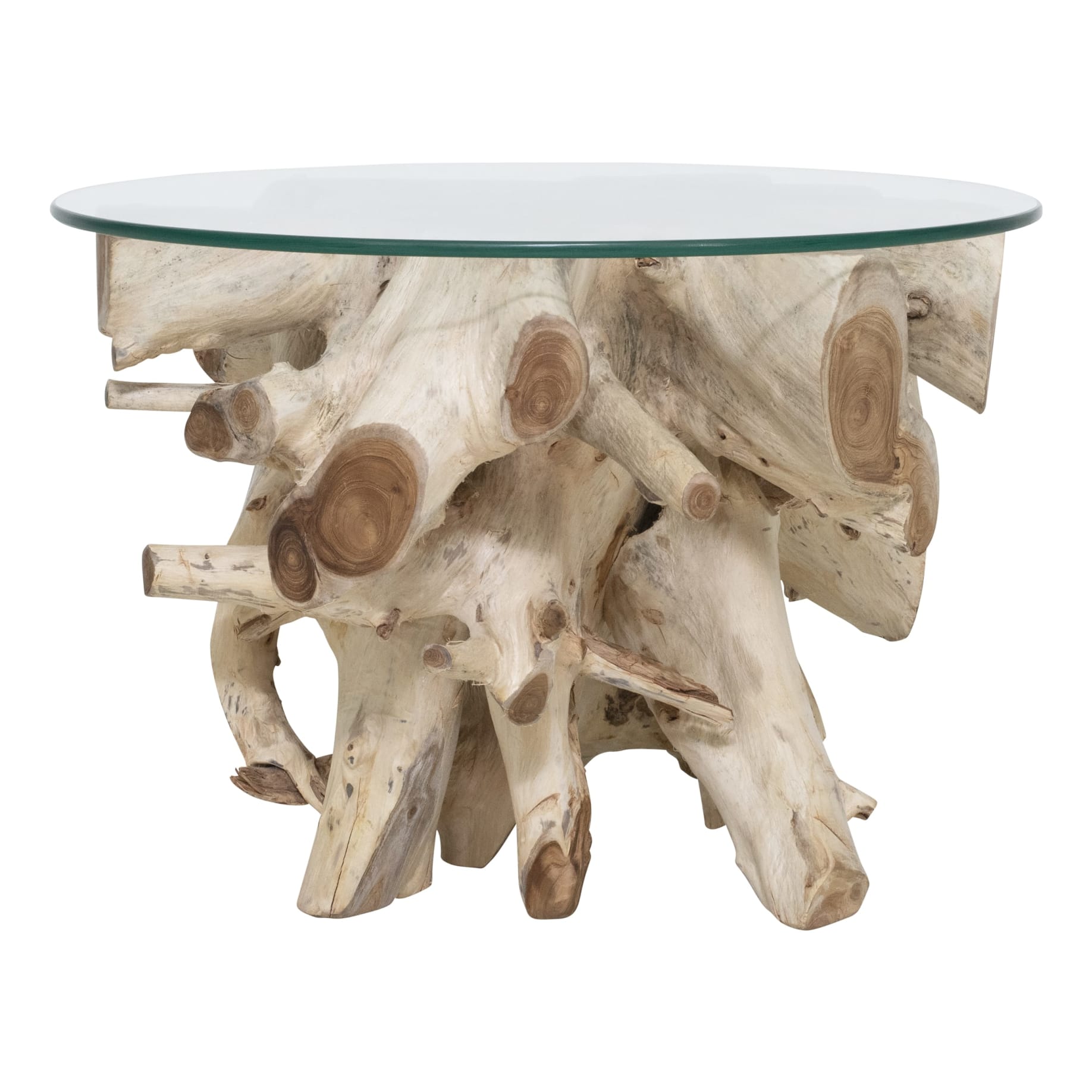 Root tree coffee on sale table