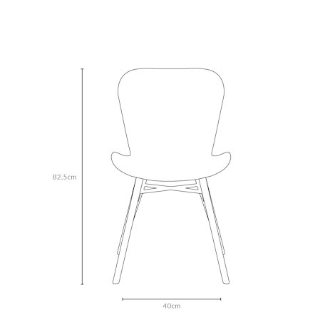 BA0285957-101