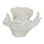 Shop in stock furniture and homewares