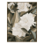 Shop in stock furniture and homewares