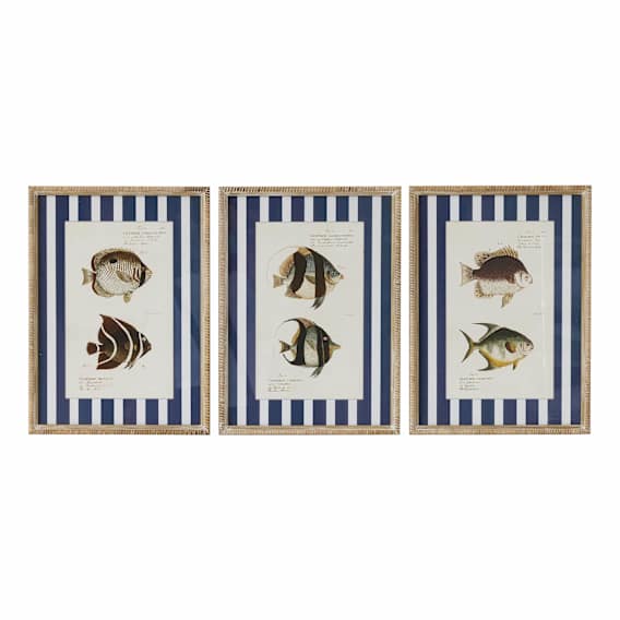 Aquatic Framed Print Set of 3 in 40 x 55cm