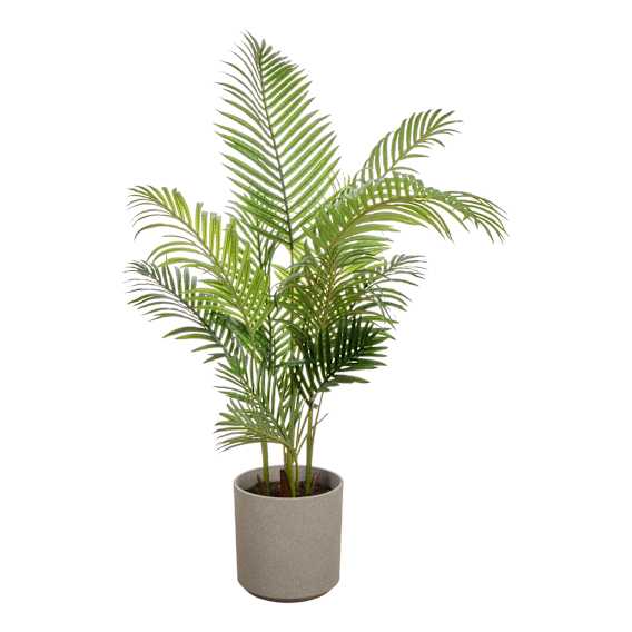 Areca Palm Cylinder 100x145cm in Green