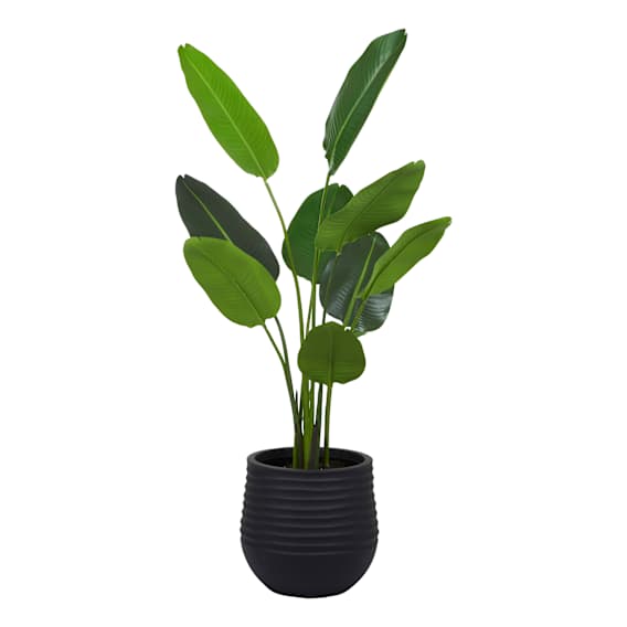 Bird of Paradise Planter 107x150cm in Green/Black