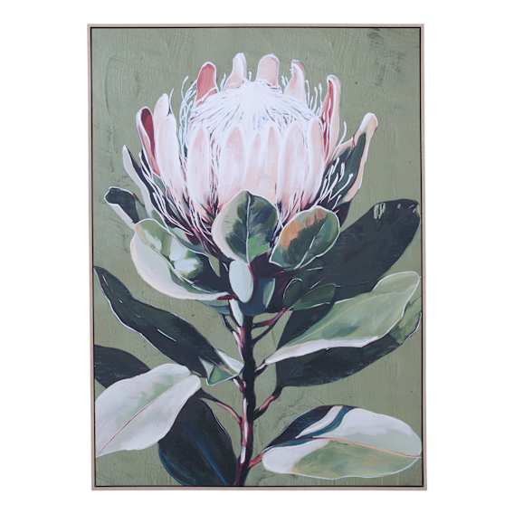 Bushland Protea Box Framed Canvas in 102 x 142cm