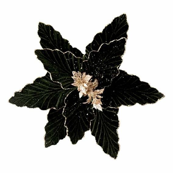 Poinsettia Clip On 30x7cm in Sage / Gold