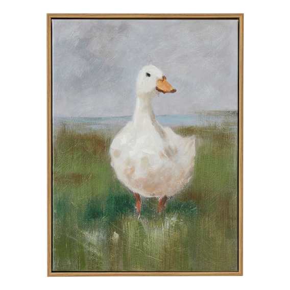 Daffy Box Framed Canvas in 30 x 40cm