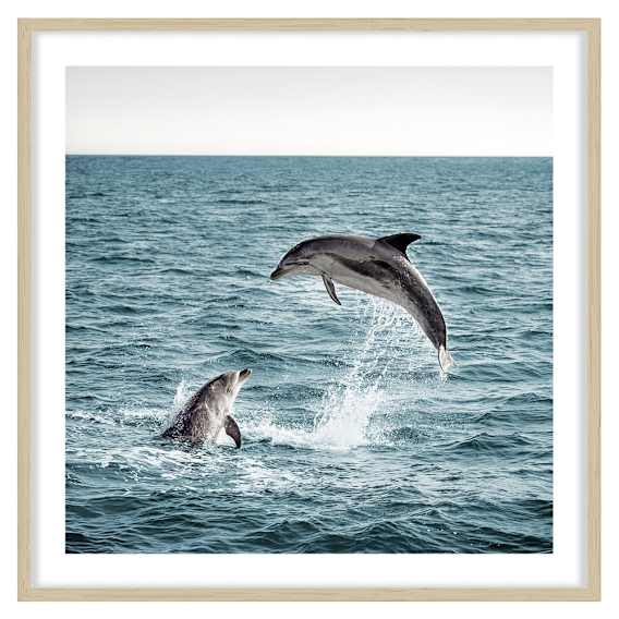 Dolphin Leap Framed Print in 95 x 95cm Natural