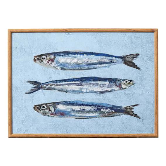 Dory Framed Print in 40 x 55cm