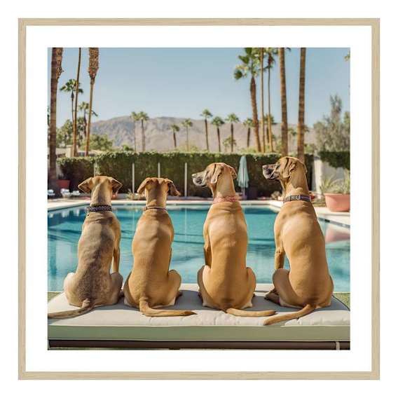 Dukes Framed Print in 103 x 103cm