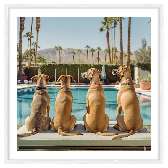 Dukes Framed Print in 60 x 60cm