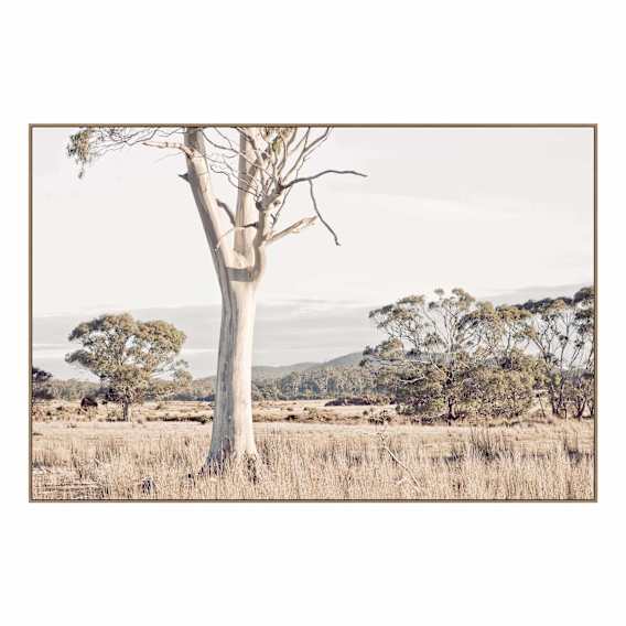 Ember Plains Box Framed Canvas in 150 x 100cm