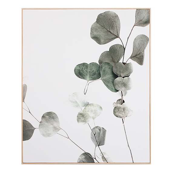 Eucalyptus Branch 1 Box Framed Canvas in 100 x 120cm