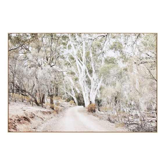 Eucalyptus Track Box Framed Canvas in 150 x 100cm