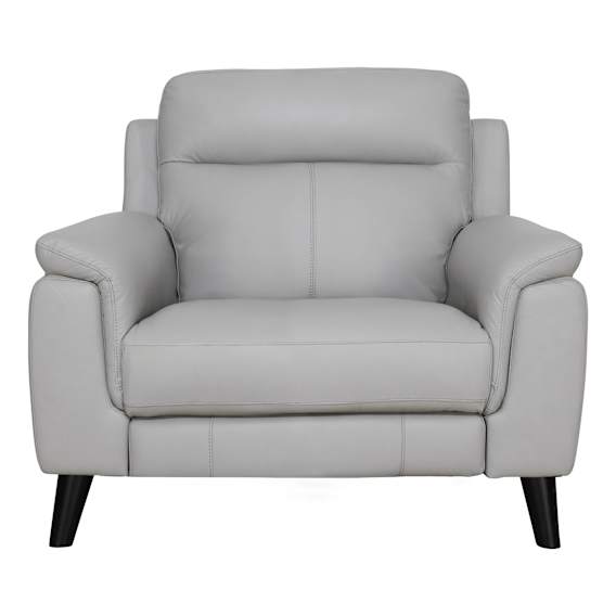Forbes Fixed Armchair in Leather Light Pewter