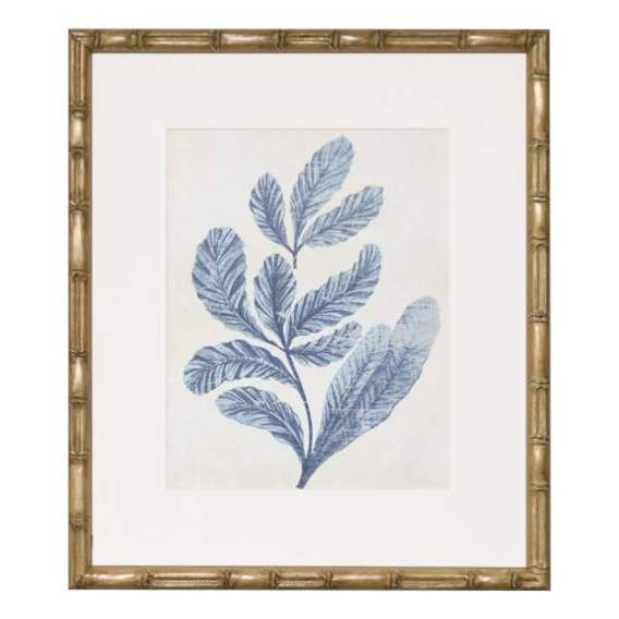 Indigo Blue Seaweed 2A Framed Print in 49 x 56cm