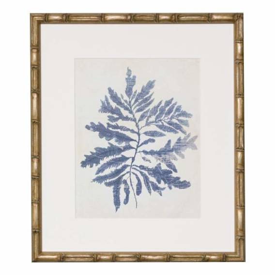 Indigo Blue Seaweed 2B Framed Print in 49 x 56cm