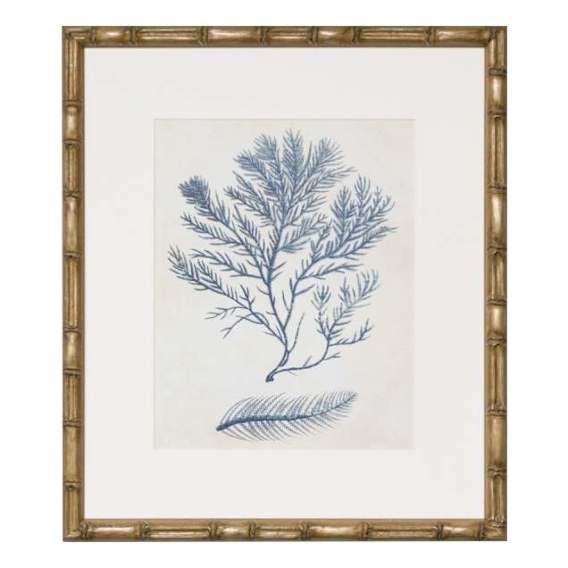 Indigo Blue Seaweed 2C Framed Print in 49 x 56cm