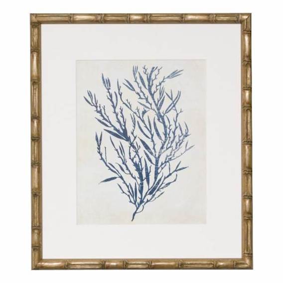 Indigo Blue Seaweed 3B Framed Print in 49 x 56cm