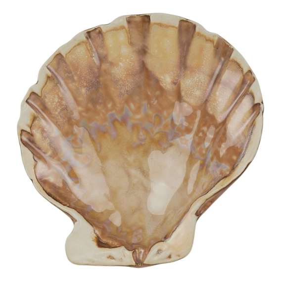 Octavia Decorative Shell 16x3.5cm in Natural