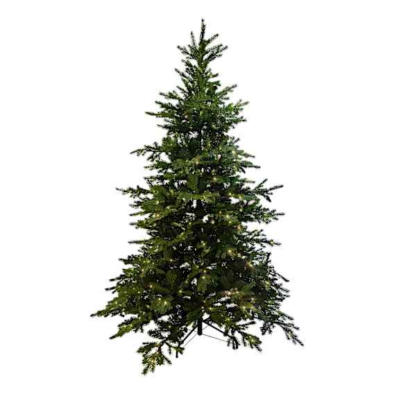 Otway LED Tree 168x240cm in Green