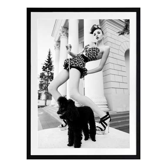 Posing Poodle Framed Print in 84 x 105cm