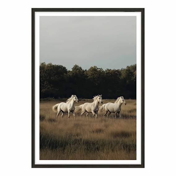 White Herd Framed Print in 95 x 133cm