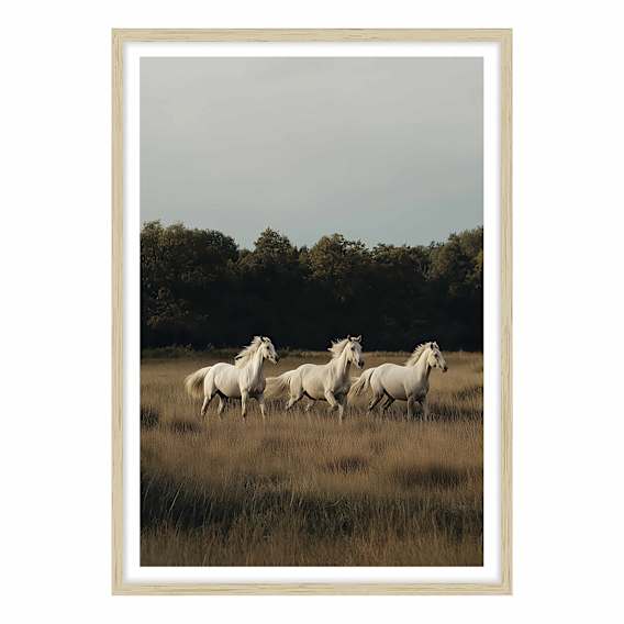 White Herd Framed Print in 103 x 143cm