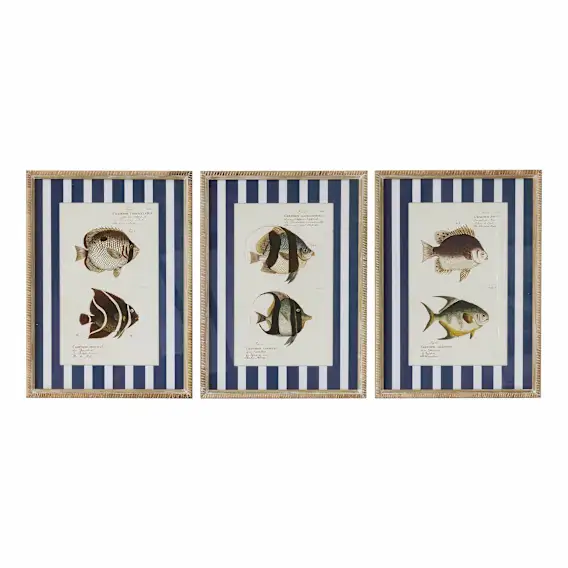 Aquatic Framed Print Set of 3 in 40 x 55cm