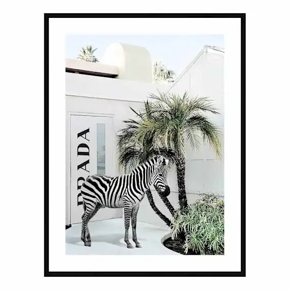 Balero Framed Print in 73 x 103cm