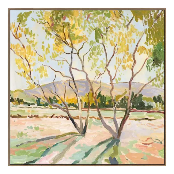 Barossa Breeze B Box Framed Canvas in 80 x 80cm