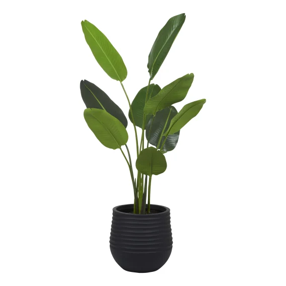 Bird of Paradise Planter 107x150cm in Green/Black