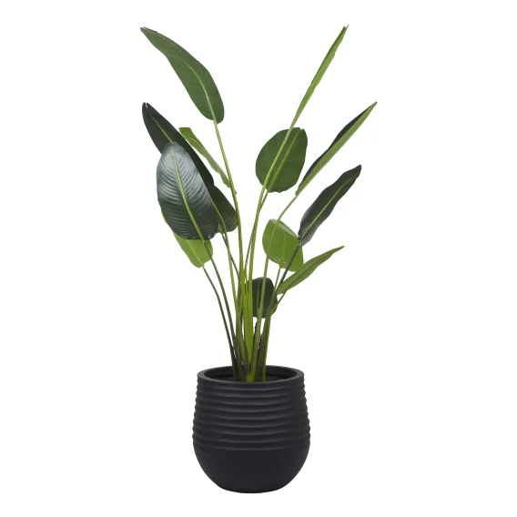 Bird of Paradise Planter 107x208cm in Green/Black