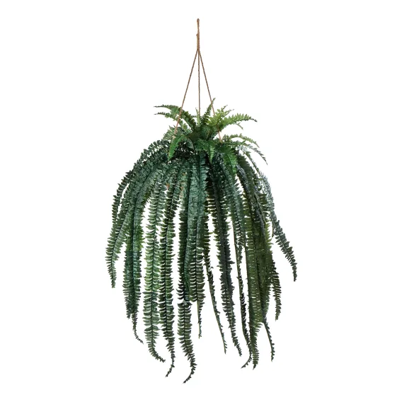 Boston Fern Hanging Bowl 60x195cm in Green/Natural