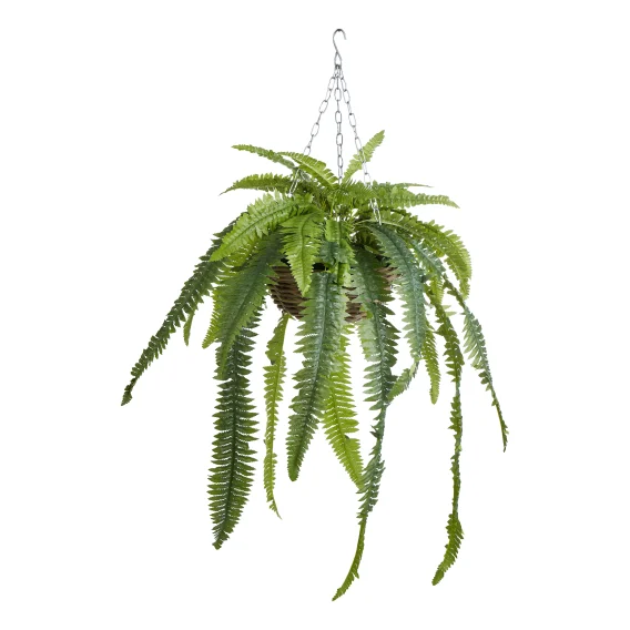 Boston Fern Hanging Bowl 56x100cm in Green/Natural