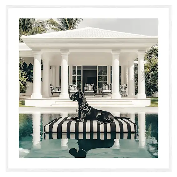 Bradley Framed Print in 60 x 60cm