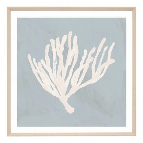 Coral Study Blue 1 Framed Print in 99 x 99cm