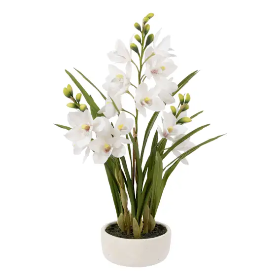 Cymbidium Orchid Pot 42x74cm in White