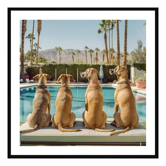 Dukes Framed Print in 95 x 95cm