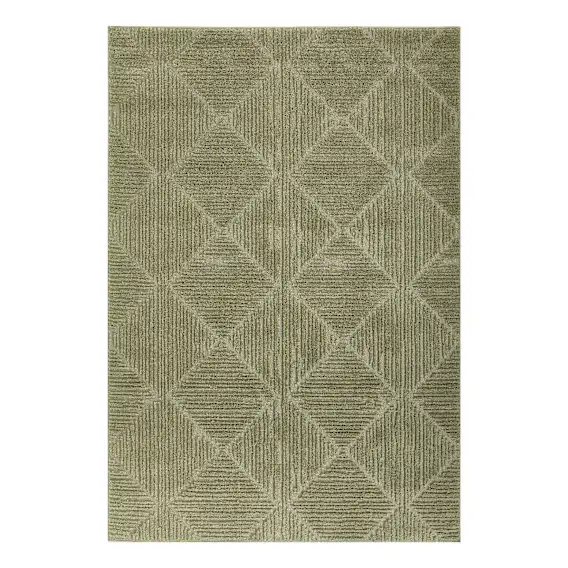 Envy Shiloh Rug 160x230cm in Green