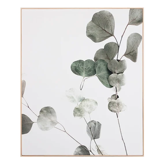 Eucalyptus Branch 1 Box Framed Canvas in 100x120cm