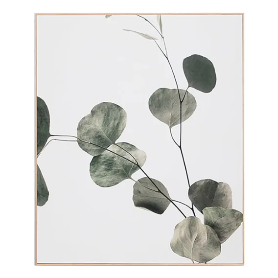 Eucalyptus Branch 2 Box Framed Canvas in 100x120cm