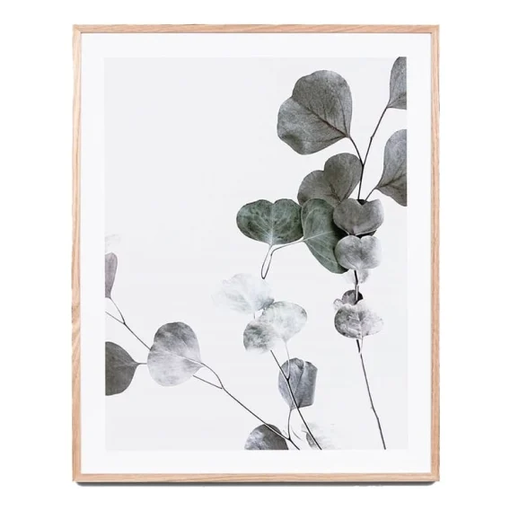 Eucalyptus Branch 1 Framed Print in 58 x 68cm