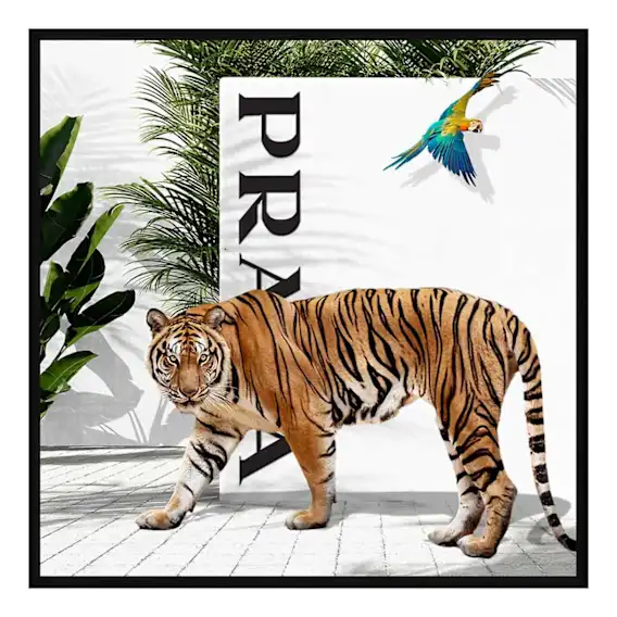 Ezra Orange Framed Print in 60 x 60cm