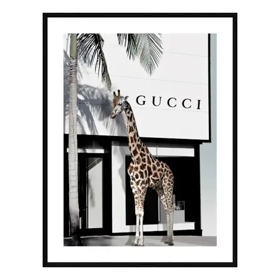 Fashion Safari Framed Print in 103 x 143cm