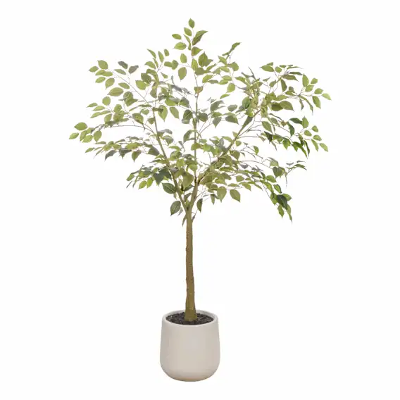 Ficus Tree Pot 61x150cm in Green