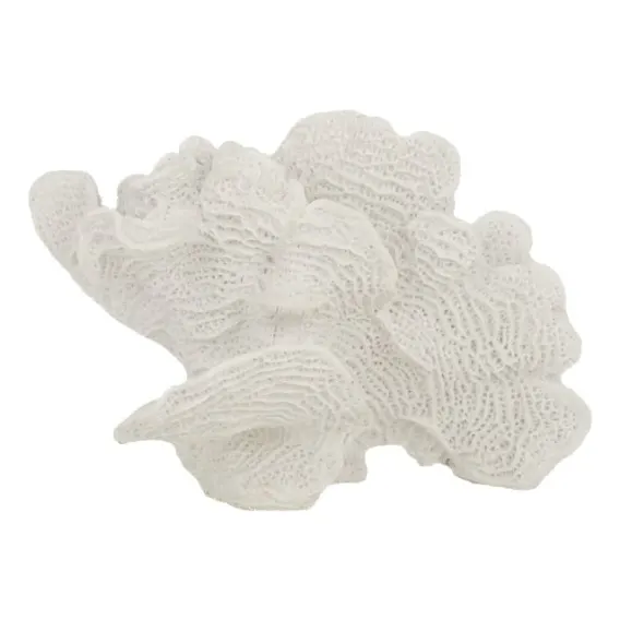 Foliose Coral Sculpture 23x15cm in White