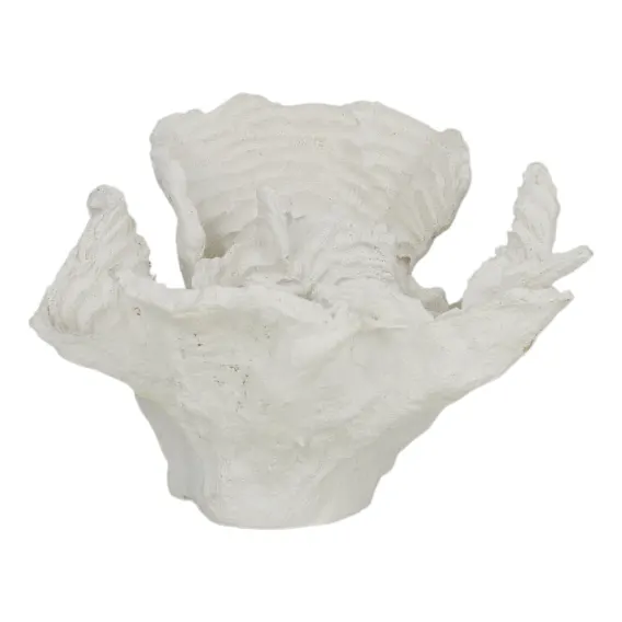 Foliose Coral Sculpture 15x10cm in White