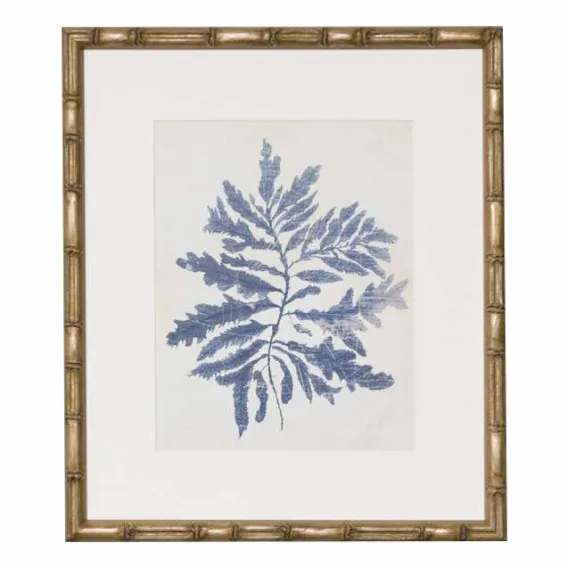 Indigo Blue Seaweed 2B Framed Print in 49 x 56cm