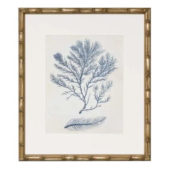 Indigo Blue Seaweed 2C Framed Print in 49 x 56cm